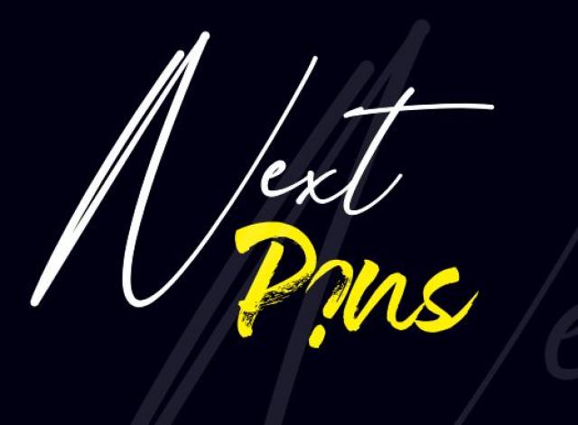 Next Pins