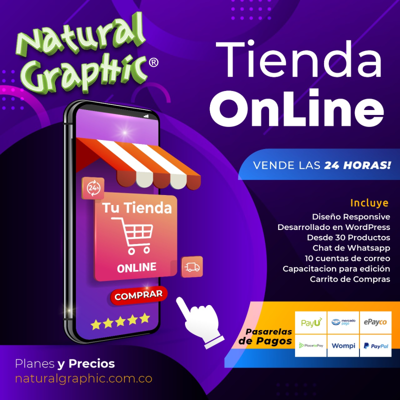 Diseñamos tu Página Web